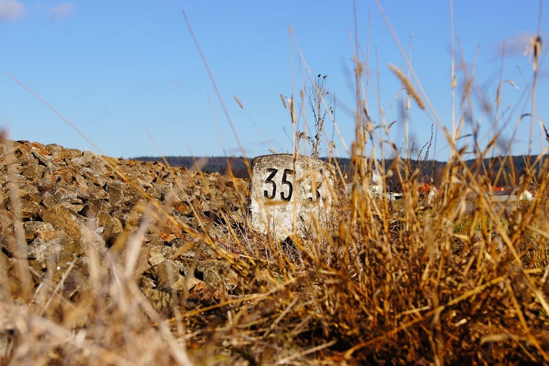 Milestones